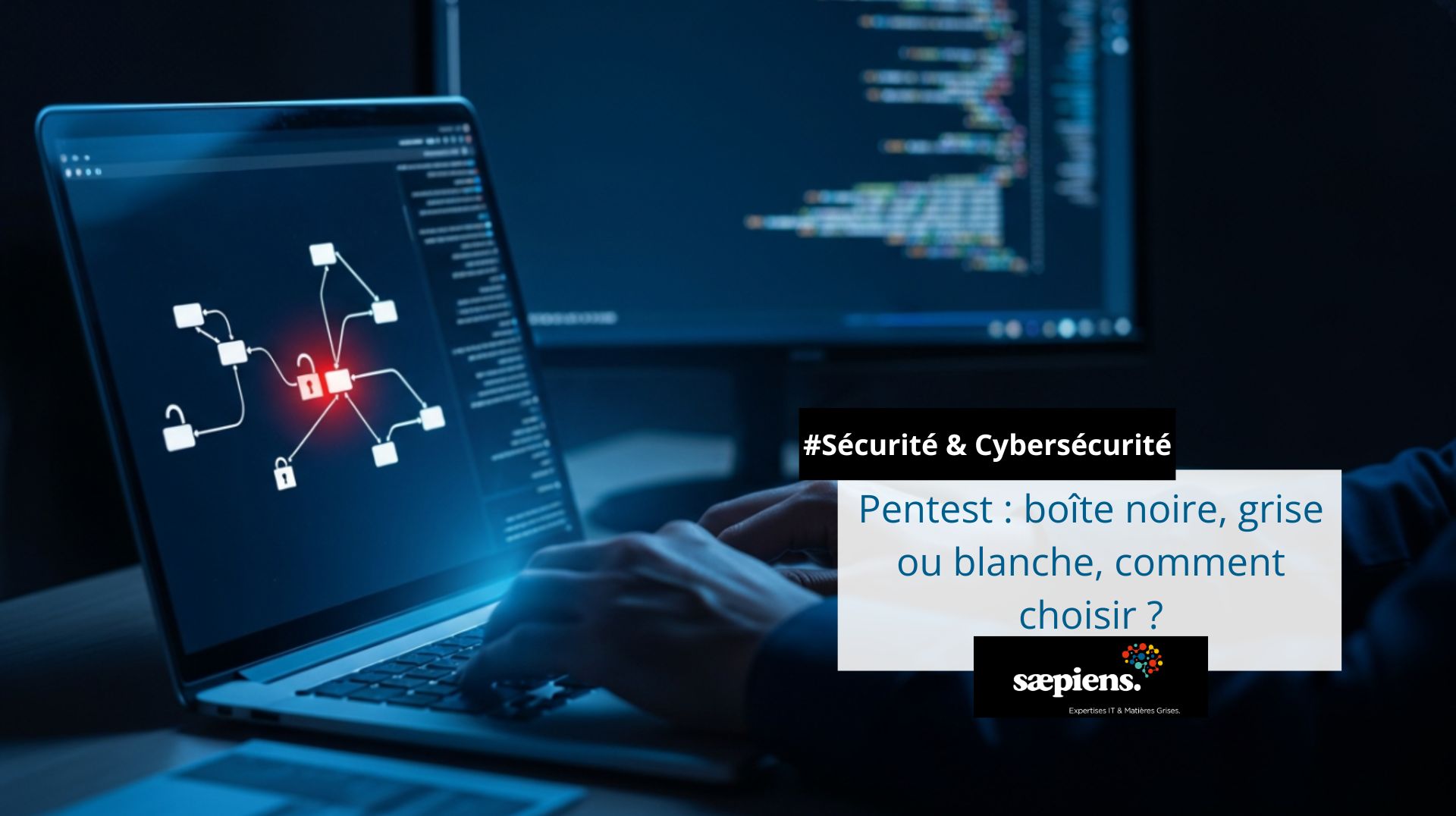 Expert en cybersécurité réalisant un test d'intrusion (pentest) sur un ordinateur portable, avec un schéma de topologie réseau affichant un point de vulnérabilité détecté en rouge - illustration de l'article Sæpiens sur le choix entre pentest boîte noire, grise et blanche