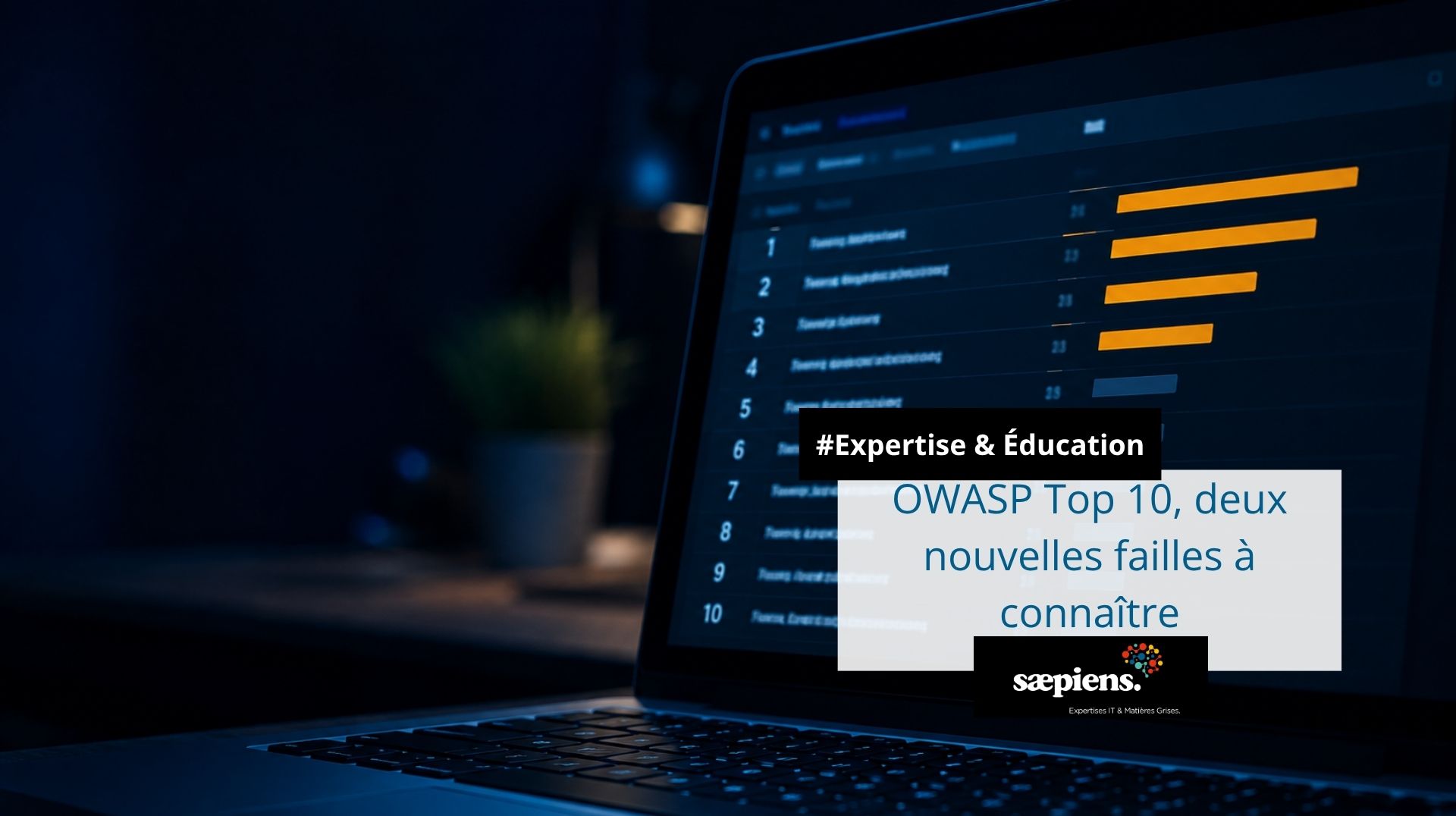 Tableau de bord affichant un classement numéroté de 1 à 10 avec des barres de priorité, illustrant le classement OWASP Top 10 des risques de sécurité applicative les plus critiques