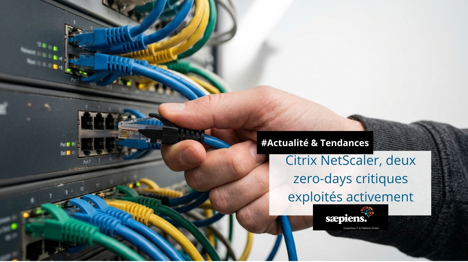 Main branchant un câble réseau sur un switch, illustrant la gestion urgente des équipements réseau Citrix NetScaler suite aux deux zero-days CVE-2026-88771 et CVE-2026-88772